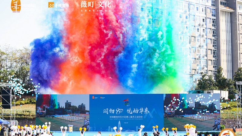 VI设计代理加盟：揭秘加盟条件与要求**